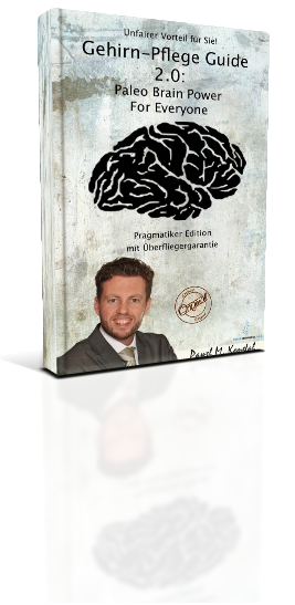 Gehirn-Pflege Guide 2.0: Paleo Brain Power For Everyone Pragmatiker Edition
